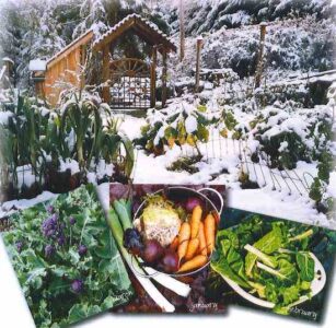 Winter Gardens Image